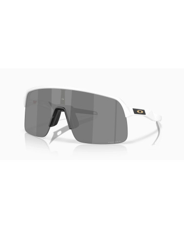 Oakley Sutro Lite: Sole Sport | Sped. Gratis